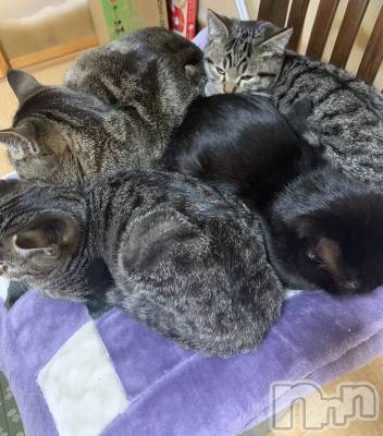 ��ˬ����Х��顦����֥���� �ץ���� ��ˬ(����� �ץ���� ����) ɱǵ ����(25)��12��30���̥�֥�����𝙻𝙰𝚂𝚃😳��