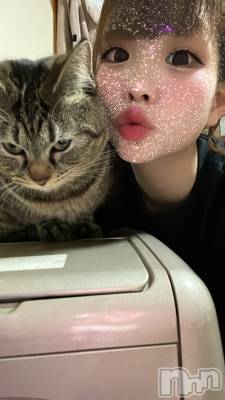 ��ˬ����Х��顦����֥���� �ץ���� ��ˬ(����� �ץ���� ����) ɱǵ ����(25)��3��31���̥�֥�����🐈💗��