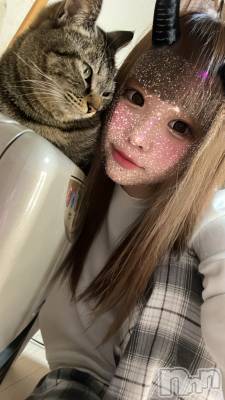 ��ˬ����Х��顦����֥���� �ץ���� ��ˬ(����� �ץ���� ����) ɱǵ ����(25)��4��6���̥�֥�����🐈��