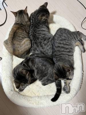 ��ˬ����Х��顦����֥���� �ץ���� ��ˬ(����� �ץ���� ����) ɱǵ ����(25)��4��19���̥�֥�����😺��