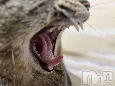 ��ˬ����Х��顦����֥���� �ץ���� ��ˬ(����� �ץ���� ����) ɱǵ ����(25)��4��26���̥�֥�����4��26�� 20��28ʬ�Υ֥�����