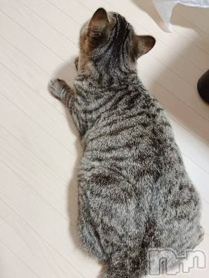 ��ˬ����Х��顦����֥���� �ץ���� ��ˬ(����� �ץ���� ����) ɱǵ ����(25)��4��28���̥�֥�����️☀️.���