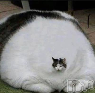 ��ˬ����Х��顦����֥���� �ץ���� ��ˬ(����� �ץ���� ����) ɱǵ ����(25)��4��30���̥�֥�����������😳��