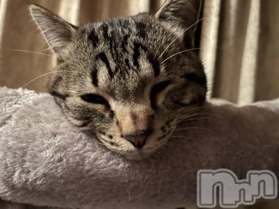 ��ˬ����Х��顦����֥���� �ץ���� ��ˬ(����� �ץ���� ����) ɱǵ ����(25)��5��11���̥�֥����֤���Ф��🫶��