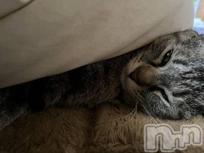 ��ˬ����Х��顦����֥���� �ץ���� ��ˬ(����� �ץ���� ����) ɱǵ ����(25)��5��21���̥�֥����֤ͤ���