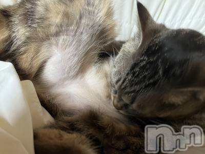 ��ˬ����Х��顦����֥���� �ץ���� ��ˬ(����� �ץ���� ����) ɱǵ ����(25)��6��3���̥�֥����ֶ���������