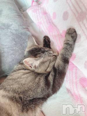 ��ˬ����Х��顦����֥���� �ץ���� ��ˬ(����� �ץ���� ����) ɱǵ ����(25)��6��14���̥�֥�����🐈‍⬛��