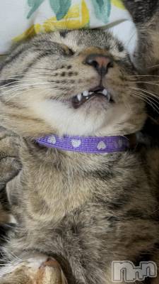 ��ˬ����Х��顦����֥���� �ץ���� ��ˬ(����� �ץ���� ����) ɱǵ ����(25)��6��24���̥�֥�����6��24�� 21��08ʬ�Υ֥�����