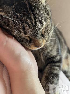 ��ˬ����Х��顦����֥���� �ץ���� ��ˬ(����� �ץ���� ����) ɱǵ ����(25)��8��20���̥�֥�����������🧚‍��️��