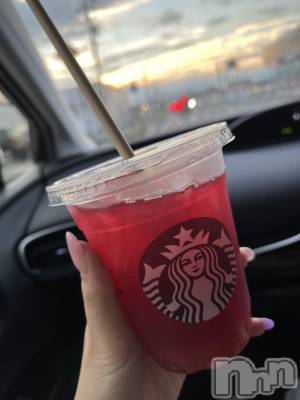 ��ˬ����Х��顦����֥���� �ץ���� ��ˬ(����� �ץ���� ����) ɱǵ ����(25)��8��25���̥�֥����֤���Ф���