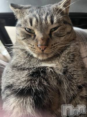 ��ˬ����Х��顦����֥���� �ץ���� ��ˬ(����� �ץ���� ����) ɱǵ ����(25)��11��28���̥�֥�����11��28�� 21��02ʬ�Υ֥�����