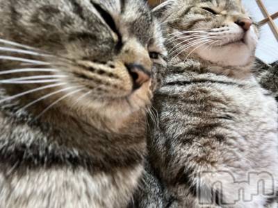 ��ˬ����Х��顦����֥���� �ץ���� ��ˬ(����� �ץ���� ����) ɱǵ ����(25)��2��21���̥�֥�����🤥��