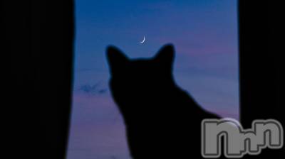 ��ˬ����Х��顦����֥���� �ץ���� ��ˬ(����� �ץ���� ����) ɱǵ ����(25)��2��27���̥�֥����֤���Ф�嵐��