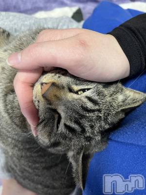 ��ˬ����Х��顦����֥���� �ץ���� ��ˬ(����� �ץ���� ����) ɱǵ ����(25)��2��28���̥�֥����֤ˤ�󤳡�