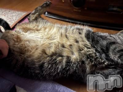 ��ˬ����Х��顦����֥���� �ץ���� ��ˬ(����� �ץ���� ����) ɱǵ ����(25)��4��26���̥�֥����֤ͤ���