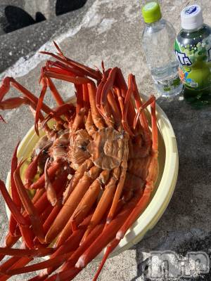 ��ˬ����Х��顦����֥���� �ץ���� ��ˬ(����� �ץ���� ����) ɱǵ ����(25)��5��18���̥�֥�����🫣��