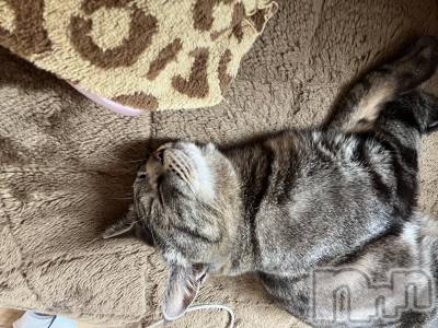 ��ˬ����Х��顦����֥���� �ץ���� ��ˬ(����� �ץ���� ����) ɱǵ ����(25)��6��14���̥�֥�����6��14�� 19��02ʬ�Υ֥�����