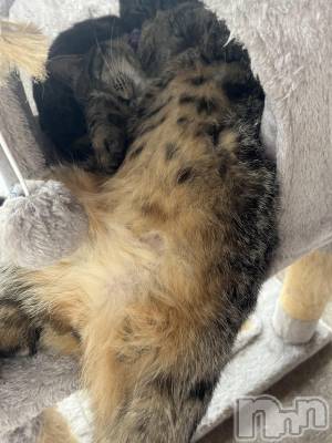 ��ˬ����Х��顦����֥���� �ץ���� ��ˬ(����� �ץ���� ����) ɱǵ ����(25)��6��17���̥�֥�����6��17�� 19��35ʬ�Υ֥�����