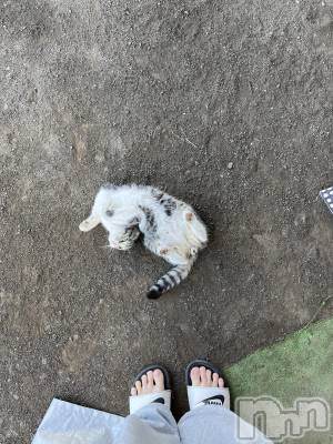 ��ˬ����Х��顦����֥���� �ץ���� ��ˬ(����� �ץ���� ����) ɱǵ ����(25)��7��28���̥�֥����֤ͤ���