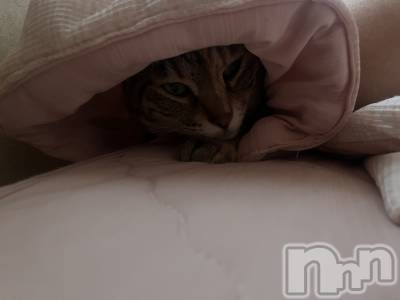 ��ˬ����Х��顦����֥���� �ץ���� ��ˬ(����� �ץ���� ����) ɱǵ ����(25)��8��7���̥�֥�����🐱��