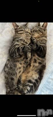 ��ˬ����Х��顦����֥���� �ץ���� ��ˬ(����� �ץ���� ����) ɱǵ ����(25)��9��4���̥�֥����֤ˤ��