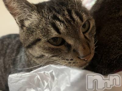 ��ˬ����Х��顦����֥���� �ץ���� ��ˬ(����� �ץ���� ����) ɱǵ ����(25)��9��29���̥�֥�����🥹��