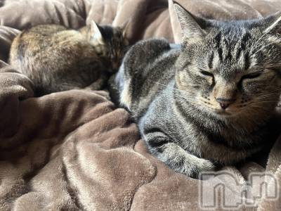 ��ˬ����Х��顦����֥���� �ץ���� ��ˬ(����� �ץ���� ����) ɱǵ ����(25)��10��3���̥�֥����֤���