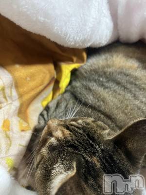 ��ˬ����Х��顦����֥���� �ץ���� ��ˬ(����� �ץ���� ����) ɱǵ ����(25)��10��19���̥�֥����֤ˤ��