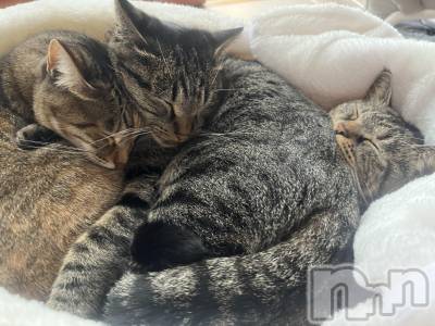 ��ˬ����Х��顦����֥���� �ץ���� ��ˬ(����� �ץ���� ����) ɱǵ ����(25)��12��2���̥�֥�����🍄��