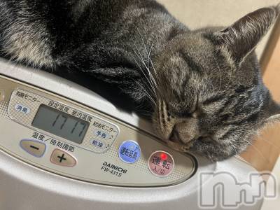 ��ˬ����Х��顦����֥���� �ץ���� ��ˬ(����� �ץ���� ����) ɱǵ ����(25)��12��13���̥�֥�����(�����؎�)�Ɏޡ�