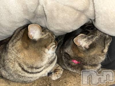 ��ˬ����Х��顦����֥���� �ץ���� ��ˬ(����� �ץ���� ����) ɱǵ ����(25)��2��16���̥�֥�����2��16�� 20��47ʬ�Υ֥�����