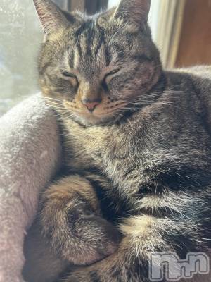 ��ˬ����Х��顦����֥���� �ץ���� ��ˬ(����� �ץ���� ����) ɱǵ ����(25)��2��18���̥�֥�����☺️��