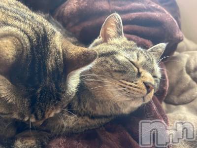 ��ˬ����Х��顦����֥���� �ץ���� ��ˬ(����� �ץ���� ����) ɱǵ ����(25)��2��28���̥�֥�����🤮😟��