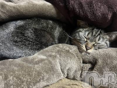 ��ˬ����Х��顦����֥���� �ץ���� ��ˬ(����� �ץ���� ����) ɱǵ ����(25)��4��27���̥�֥�����🥺��