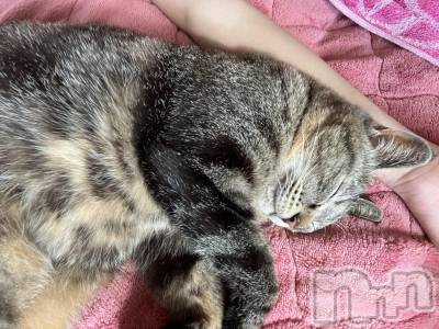 ��ˬ����Х��顦����֥���� �ץ���� ��ˬ(����� �ץ���� ����) ɱǵ ����(25)��6��1���̥�֥�����🫶��