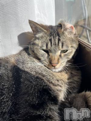 ��ˬ����Х��顦����֥���� �ץ���� ��ˬ(����� �ץ���� ����) ɱǵ ����(25)��6��7���̥�֥�����🍻��