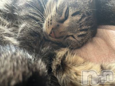 ��ˬ����Х��顦����֥���� �ץ���� ��ˬ(����� �ץ���� ����) ɱǵ ����(25)��7��12���̥�֥����ֶ�������