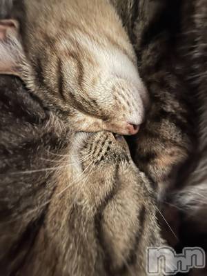 ��ˬ����Х��顦����֥���� �ץ���� ��ˬ(����� �ץ���� ����) ɱǵ ����(25)��7��19���̥�֥�����7��19�� 20��20ʬ�Υ֥�����