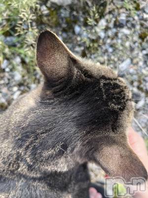 ��ˬ����Х��顦����֥���� �ץ���� ��ˬ(����� �ץ���� ����) ɱǵ ����(25)��9��11���̥�֥����֤ˤ���