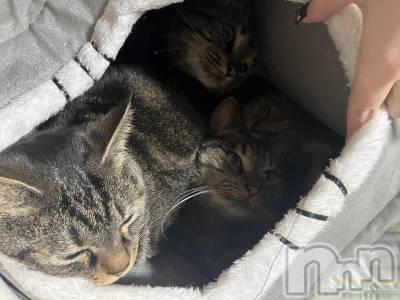 ��ˬ����Х��顦����֥���� �ץ���� ��ˬ(����� �ץ���� ����) ɱǵ ����(25)��12��7���̥�֥�����😈ᩚ��