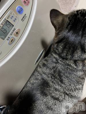 ��ˬ����Х��顦����֥���� �ץ���� ��ˬ(����� �ץ���� ����) ɱǵ ����(25)��12��12���̥�֥�����12��12�� 20��39ʬ�Υ֥�����