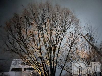 ��ˬ����Х��顦����֥���� �ץ���� ��ˬ(����� �ץ���� ����) ɱǵ ����(25)��1��10���̥�֥�����ᥬ🌝ᩤ��