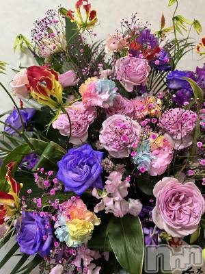 ��ˬ����Х��顦����֥���� �ץ���� ��ˬ(����� �ץ���� ����) ɱǵ ����(25)��2��1���̥�֥�����🩵��