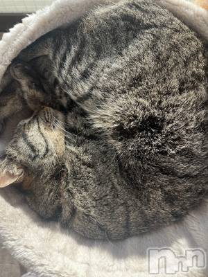 ��ˬ����Х��顦����֥���� �ץ���� ��ˬ(����� �ץ���� ����) ɱǵ ����(25)��2��28���̥�֥�����2��28�� 19��09ʬ�Υ֥�����