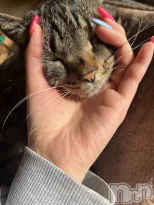 ��ˬ����Х��顦����֥���� �ץ���� ��ˬ(����� �ץ���� ����) ɱǵ ����(25)��4��12���̥�֥�����4��12�� 20��45ʬ�Υ֥�����