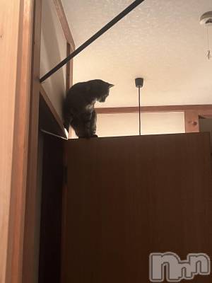 ��ˬ����Х��顦����֥���� �ץ���� ��ˬ(����� �ץ���� ����) ɱǵ ����(25)��10��29���̥�֥�����🫶��