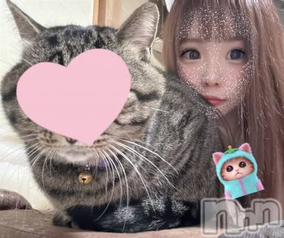 ��ˬ����Х��顦����֥���� �ץ���� ��ˬ(����� �ץ���� ����) ɱǵ ����(25)��11��15���̥�֥����֤ˤ���