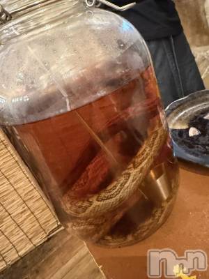 ��ˬ����Х��顦����֥���� �ץ���� ��ˬ(����� �ץ���� ����) ɱǵ ����(25)��11��19���̥�֥�����🐍��