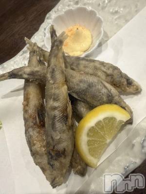 ��ˬ����Х��顦����֥���� �ץ���� ��ˬ(����� �ץ���� ����) ɱǵ ����(26)��4��14���̥�֥�����🐠��