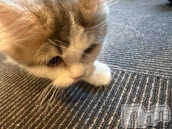 上越デリヘルHONEY(ハニー) しんく(♪♪)(29)の12月27日写メブログ「お知らせ⋆͛📢⋆」